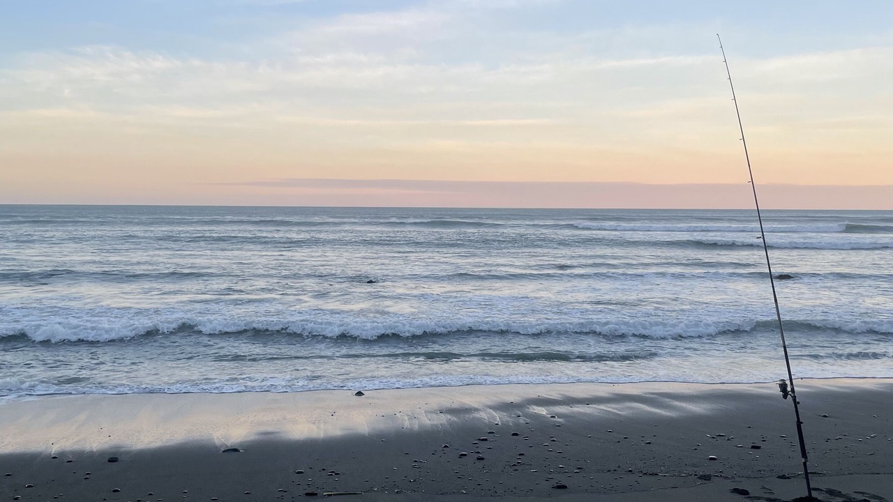 Photo of Others in Opunake