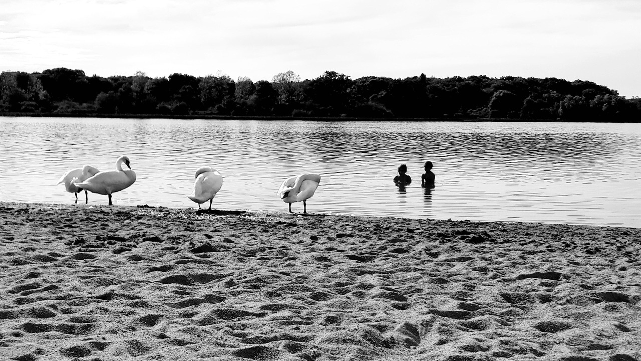 Photo of Others in Bazolles