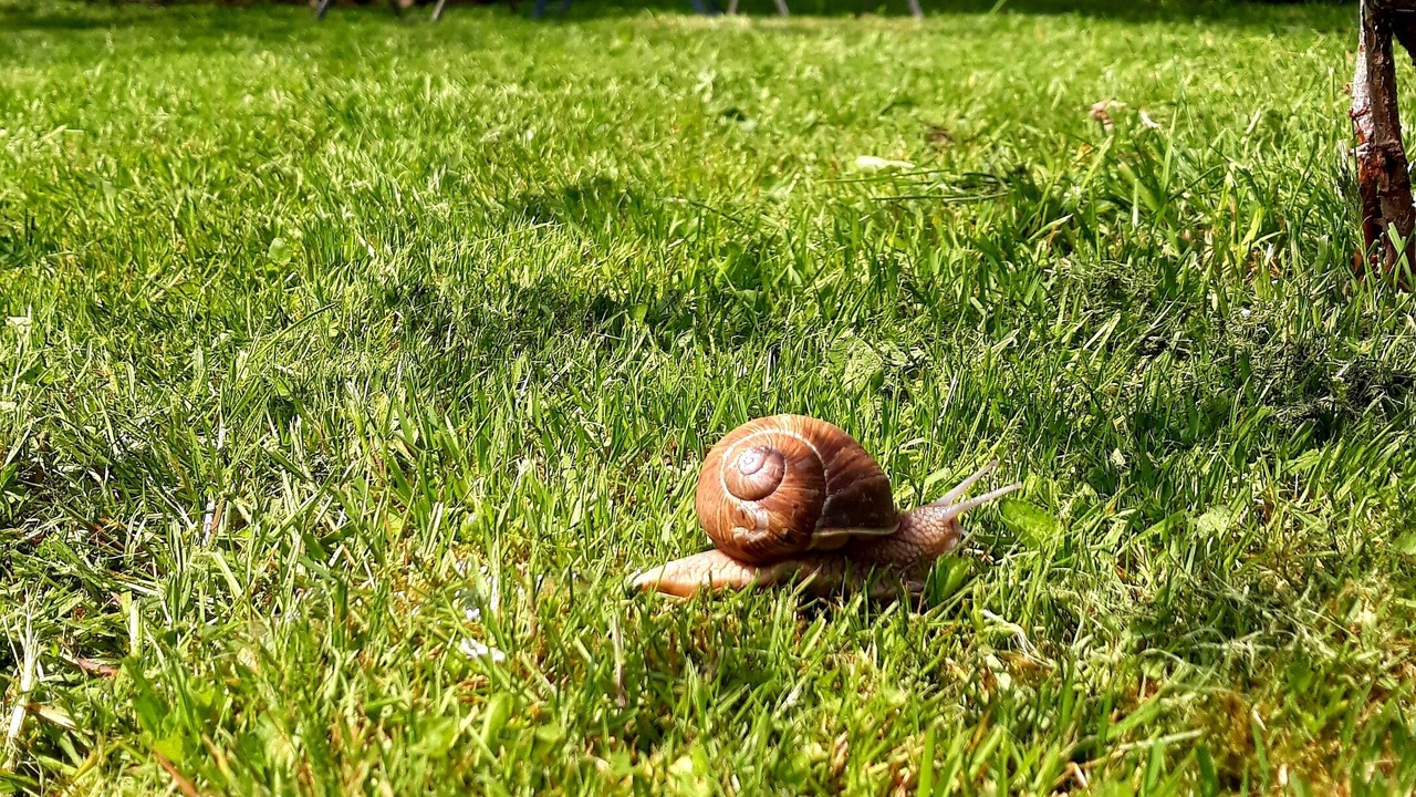 Photo of Outdoor in Bazolles