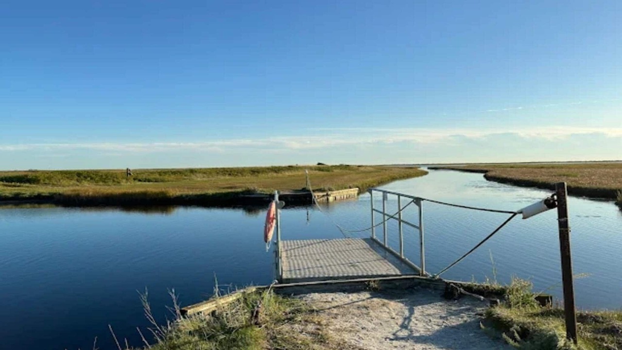 Photo of Others in Vestero Havn