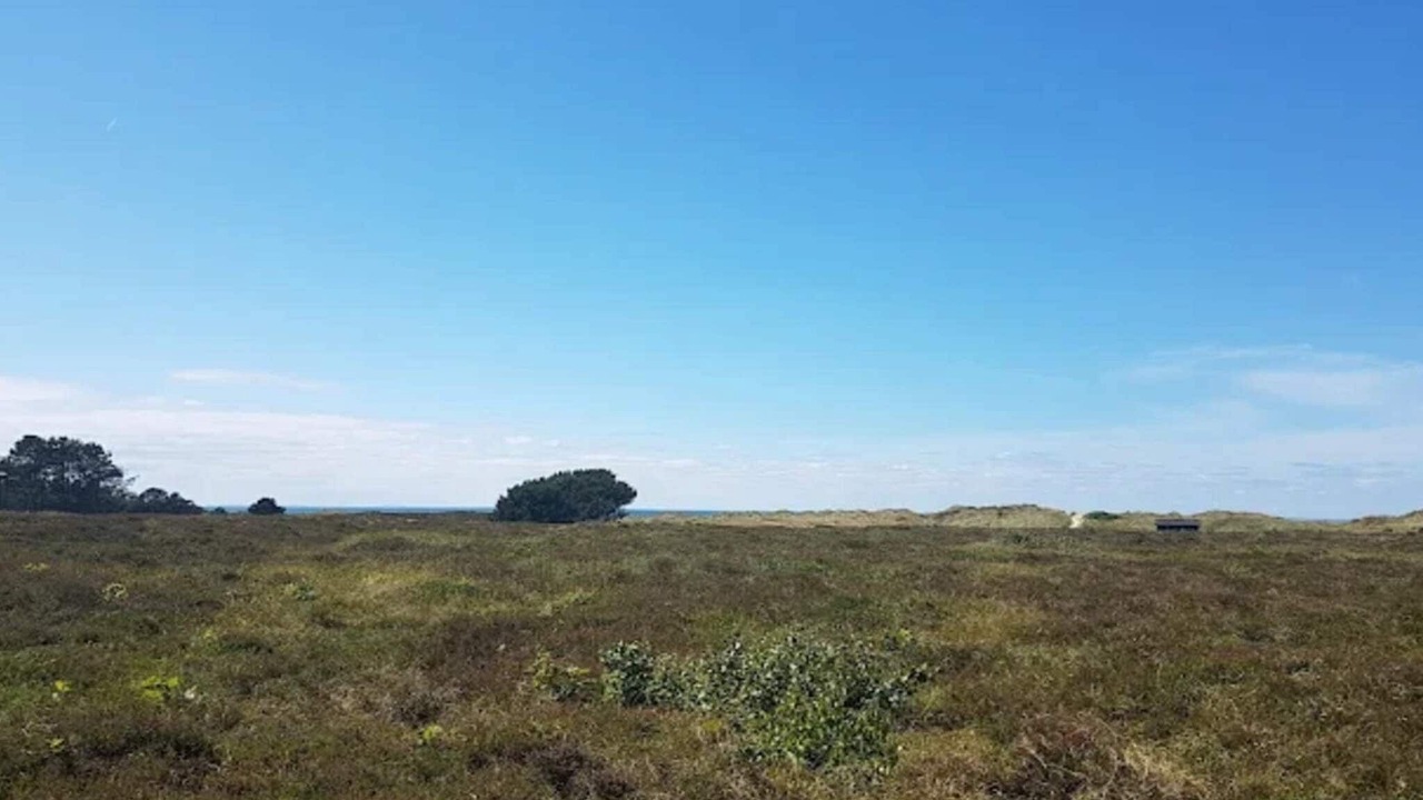 Photo of Others in Vestero Havn