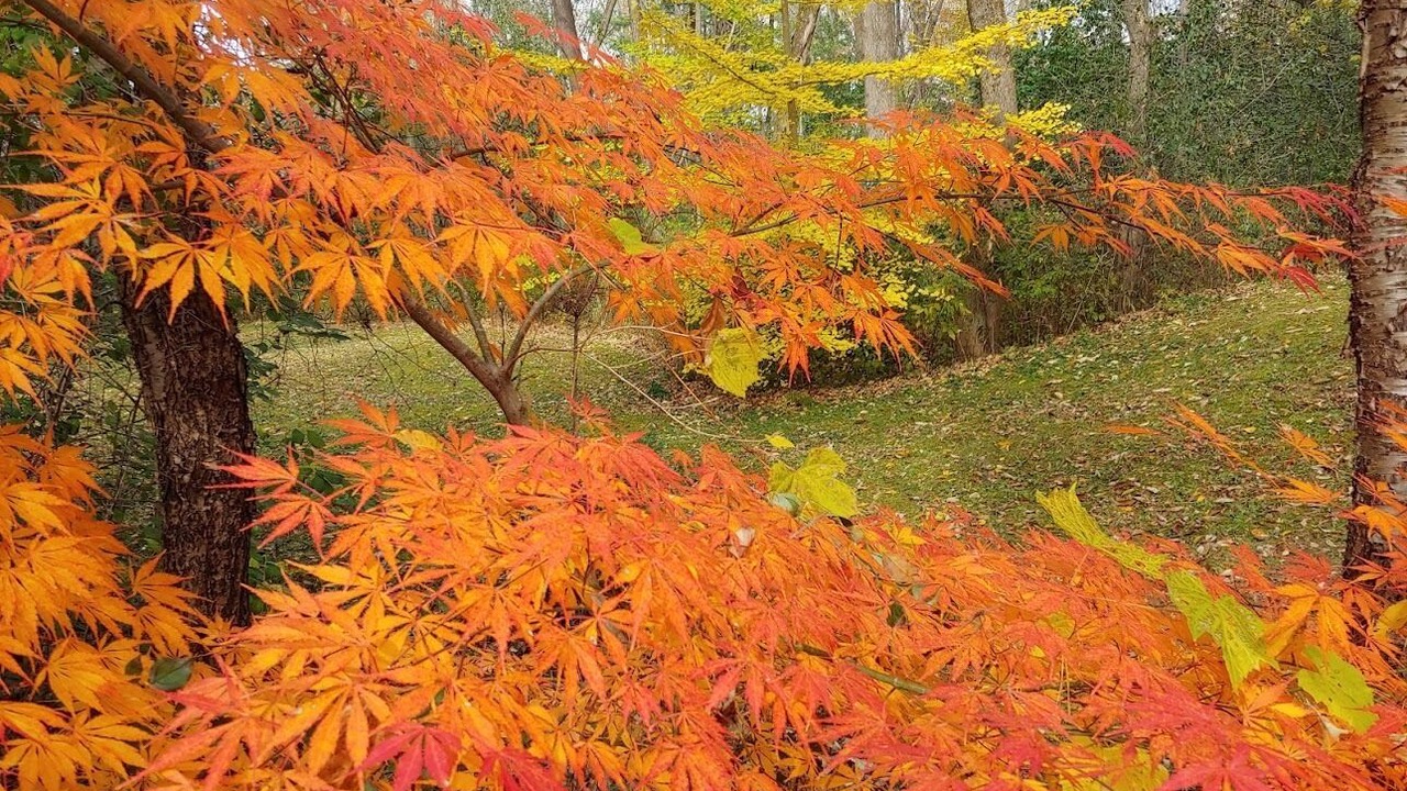 Photo of Outdoor in Etna