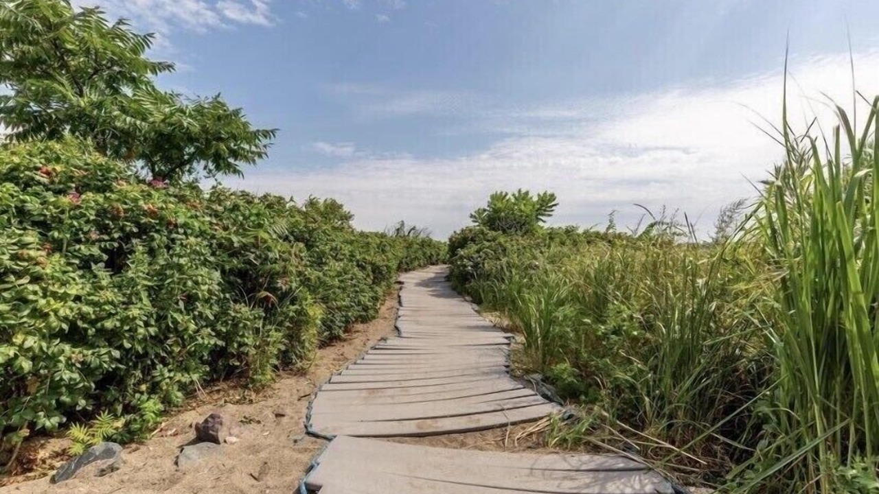 Photo of Outdoor in Swampscott