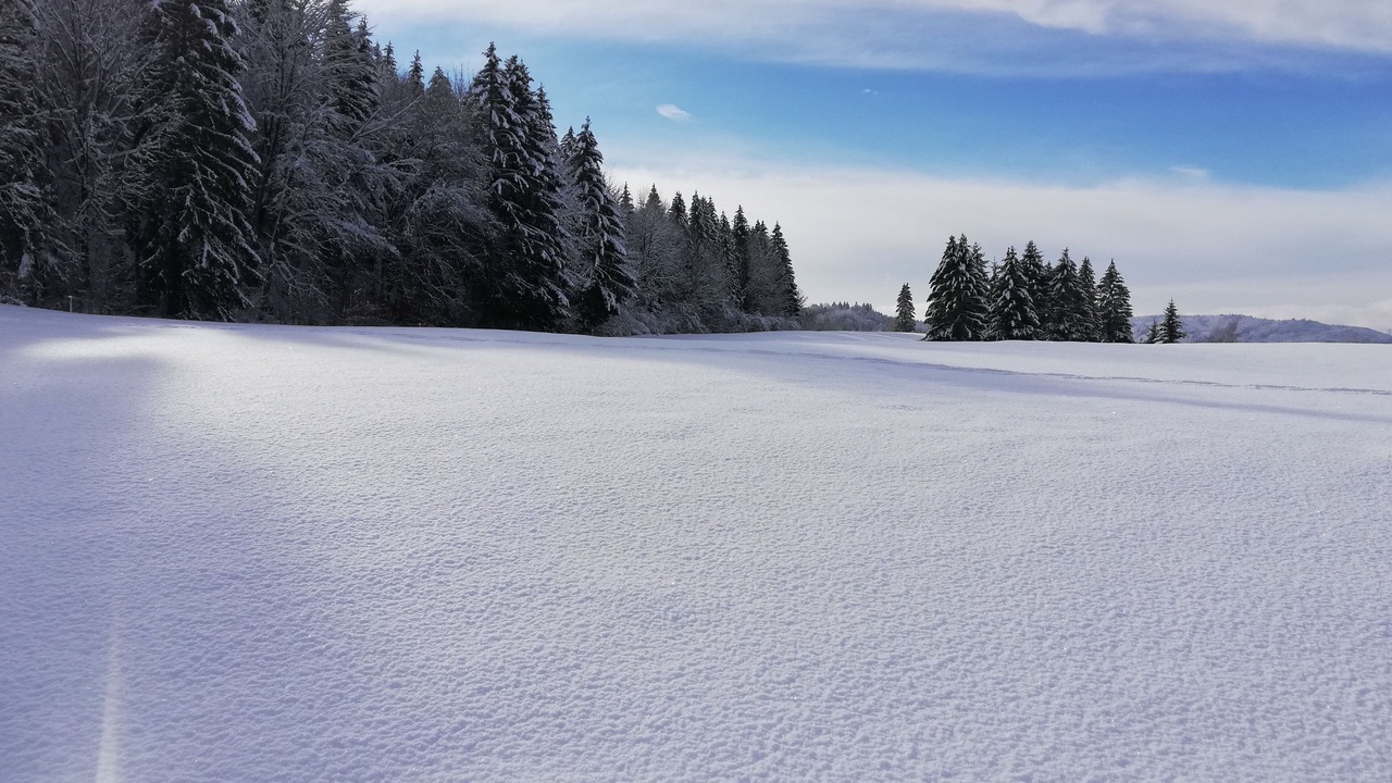 Photo of Others in Paroisse des Monts de Bienne