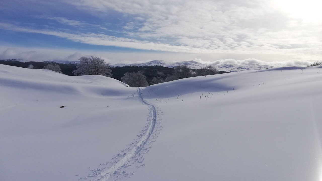 Photo of Others in Paroisse des Monts de Bienne