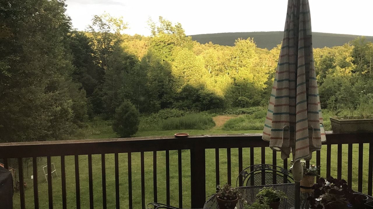 Photo of Outdoor in Arlington