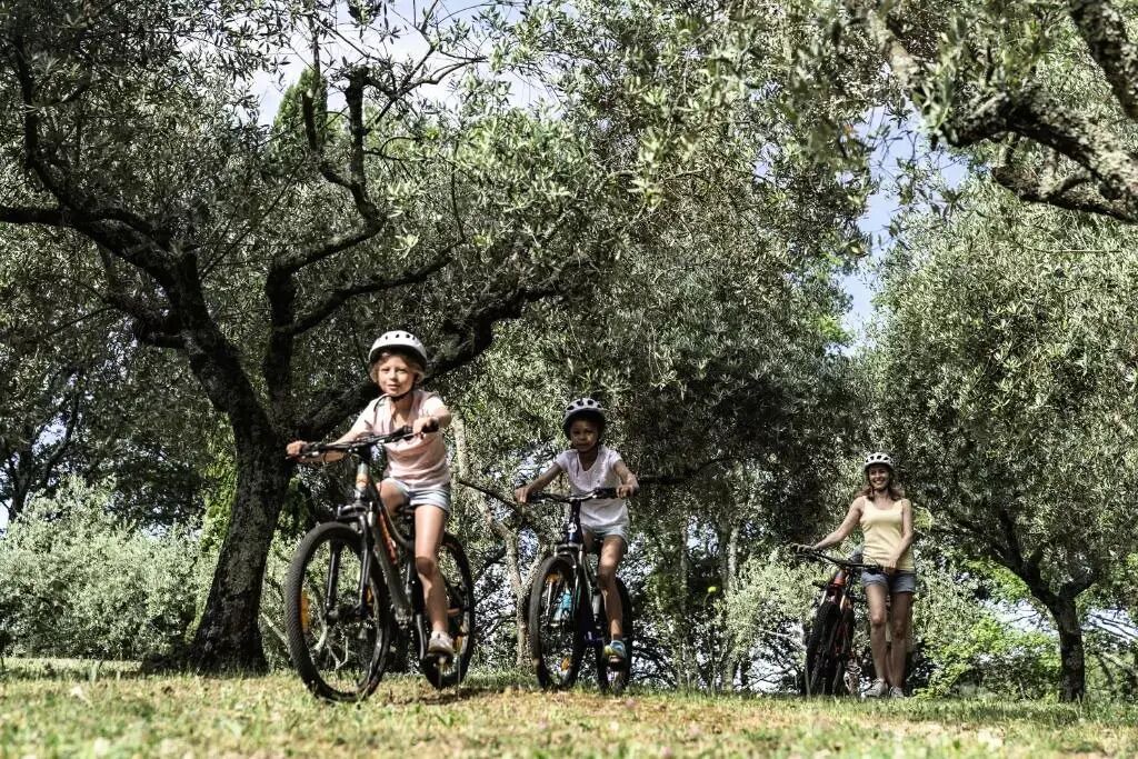 Photo of Others in Casteljau
