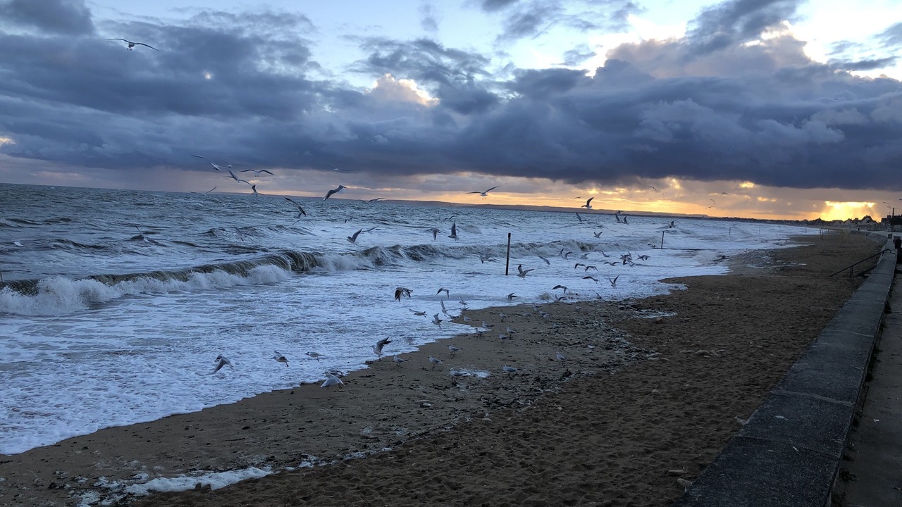 Photo of Others in Hermanville-sur-Mer