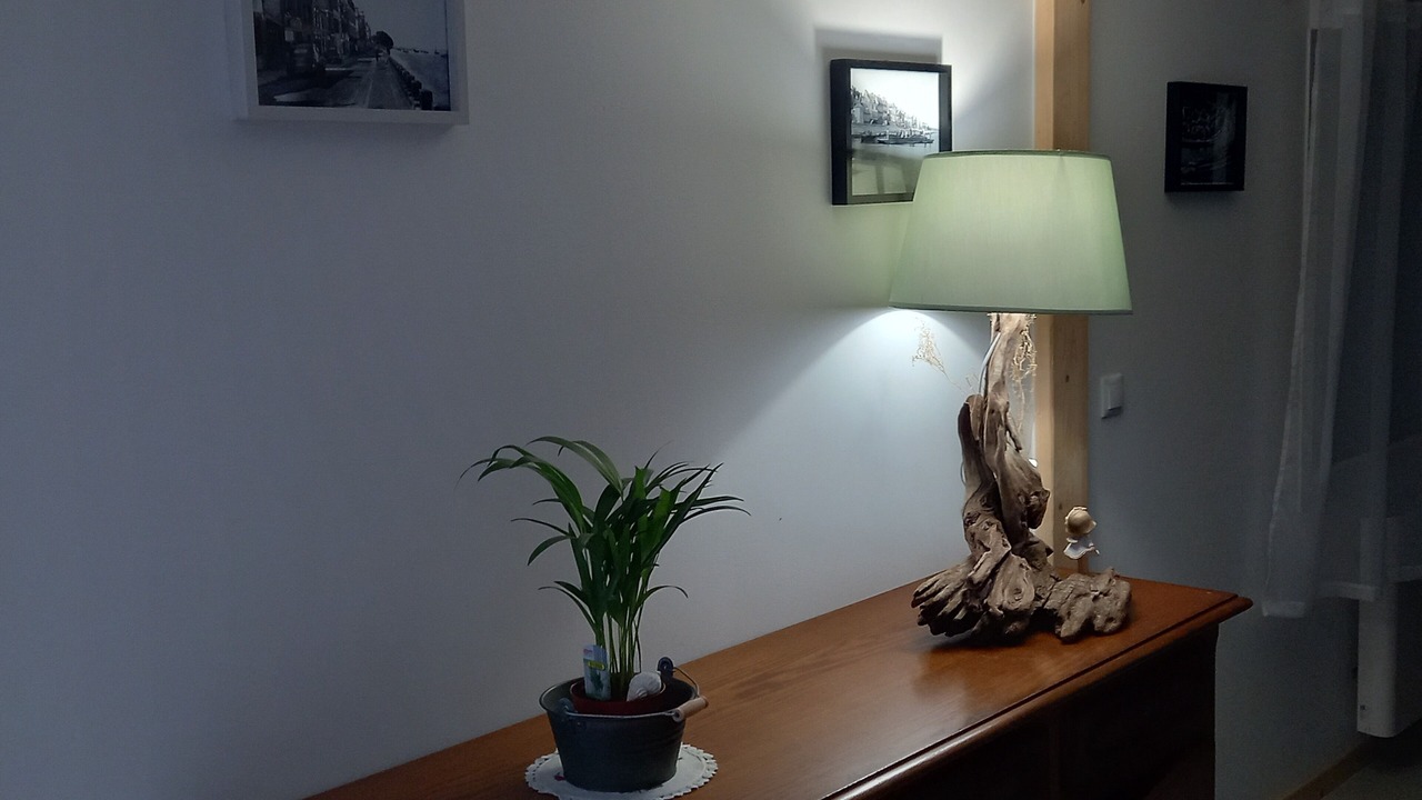 Photo of Others in Pende