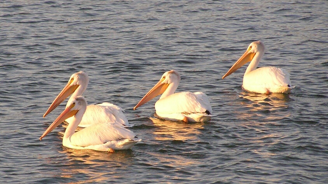 Photo of Others in The Narrows
