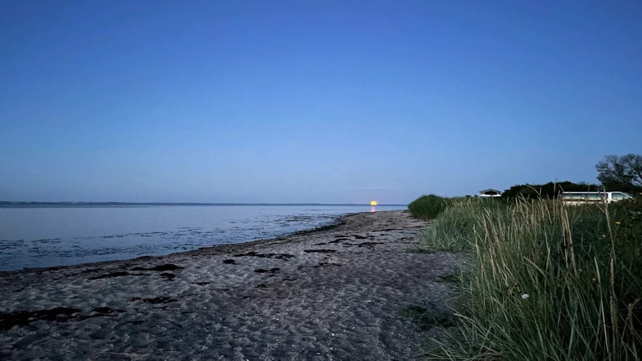 Photo of Others in Flovt Strand