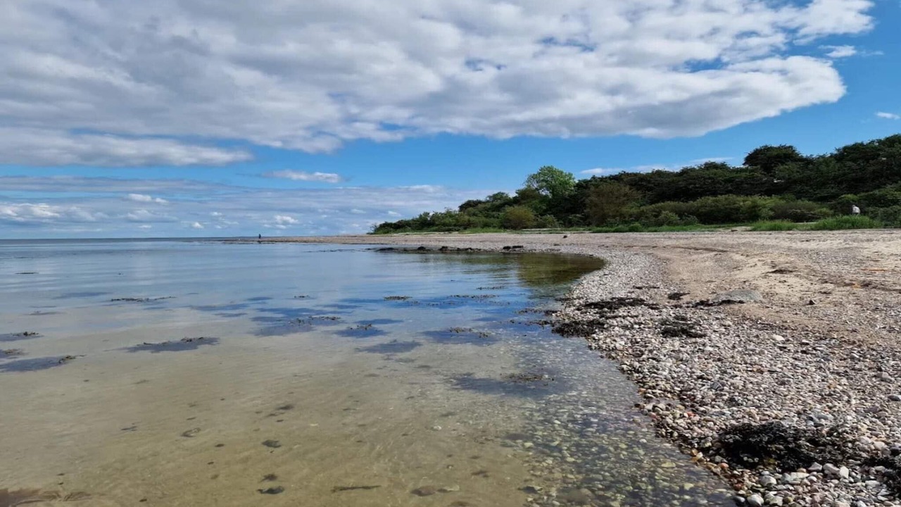 Photo of Others in Flovt Strand