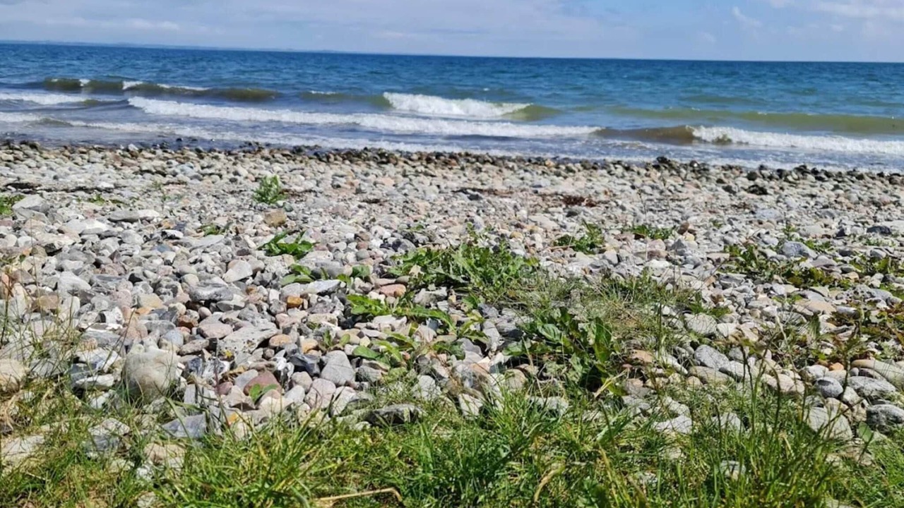Photo of Others in Flovt Strand