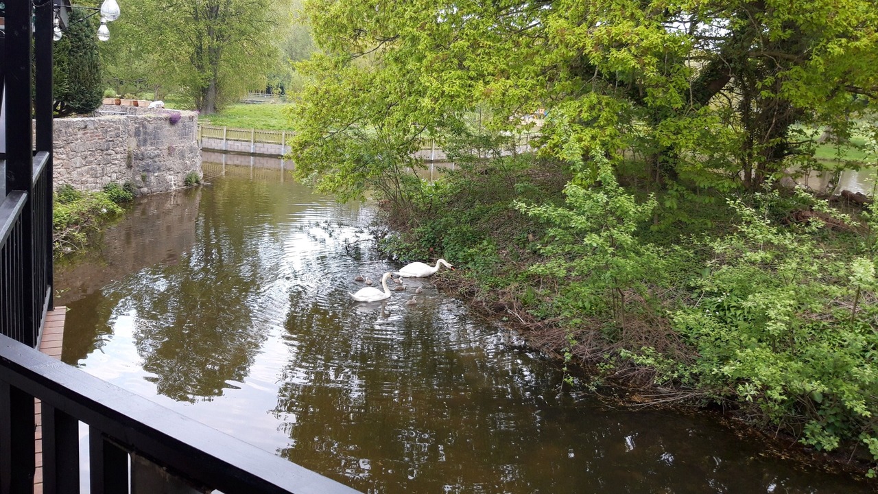 Photo of Others in Ruthin