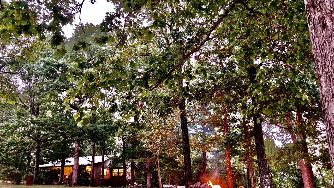Photo of Outdoor in Saffell