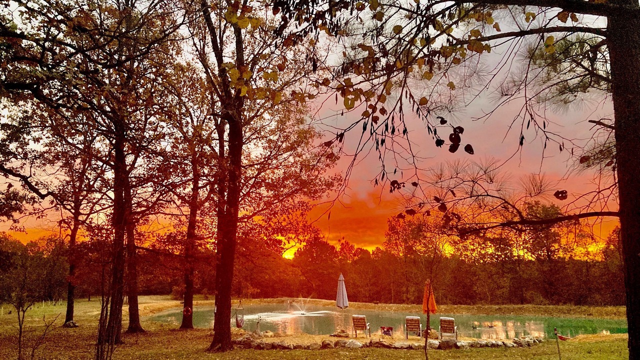 Photo of Outdoor in Saffell