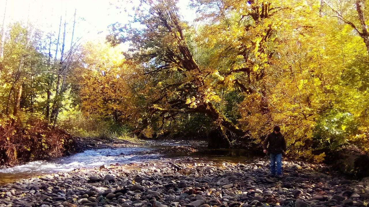 Photo of Others in Sequim