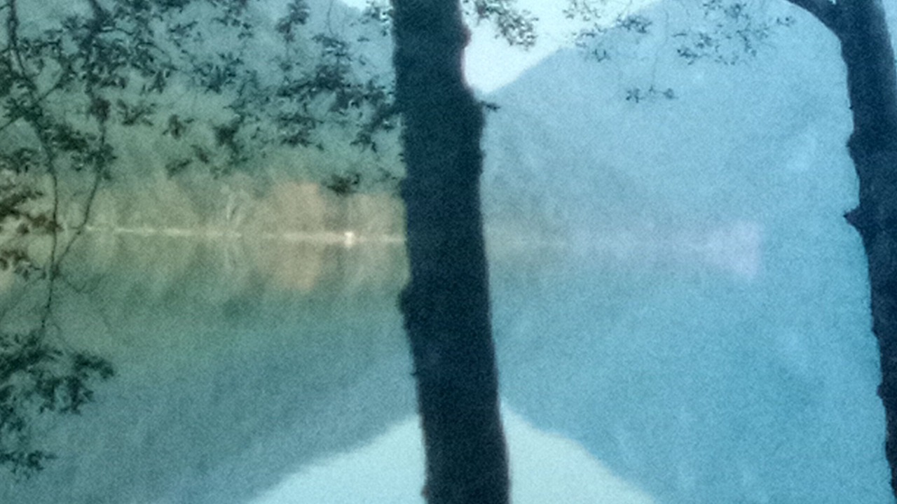 Photo of Outdoor in Sequim