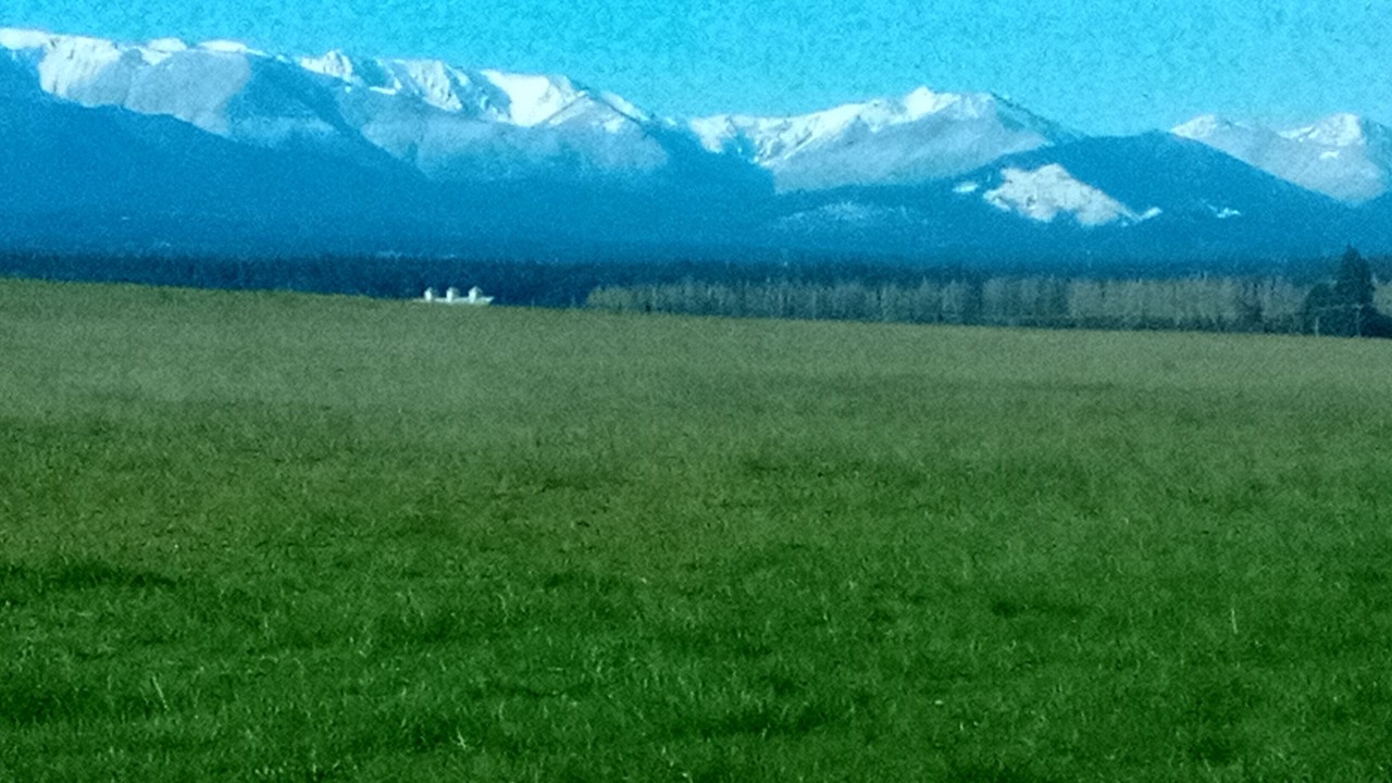 Photo of Others in Sequim