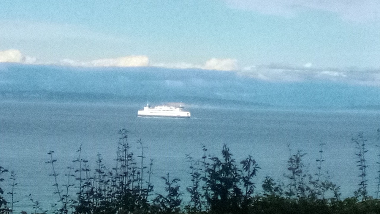 Photo of Others in Sequim