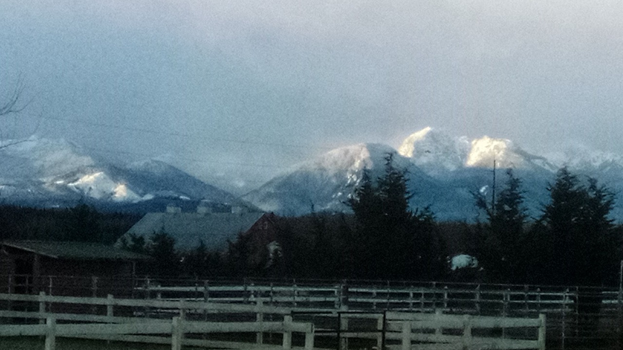 Photo of Others in Sequim