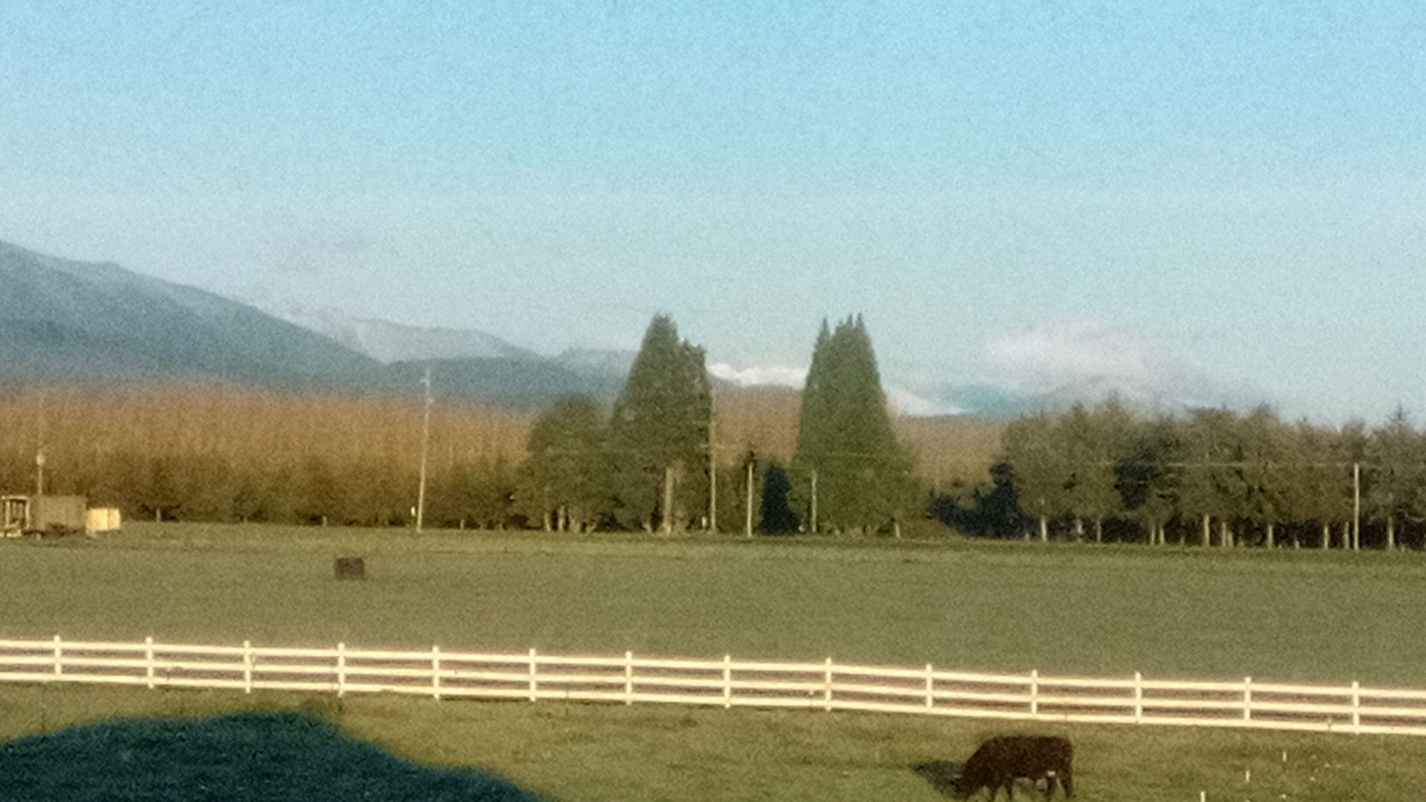 Photo of Others in Sequim