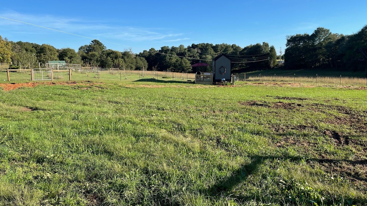 Photo of Outdoor in Hartwell