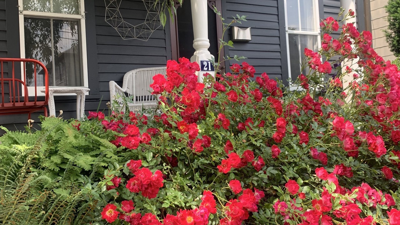 Photo of Outdoor in Frenchtown