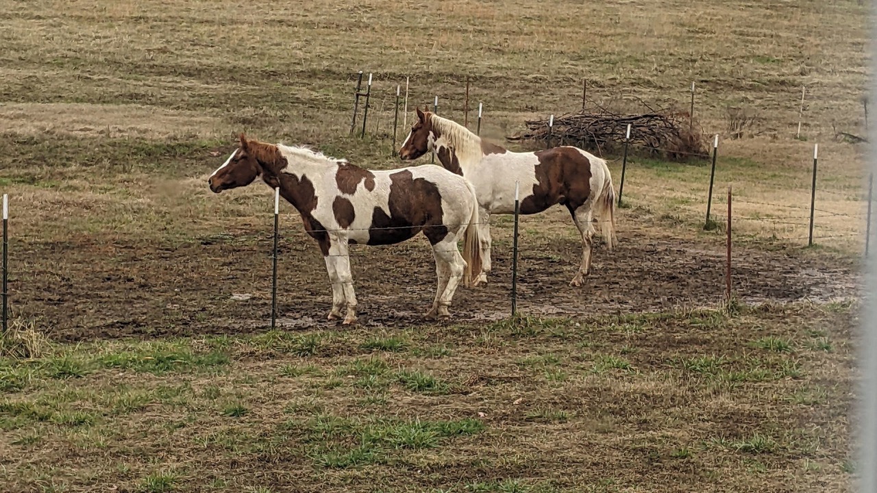 Photo of Others in Lead Hill