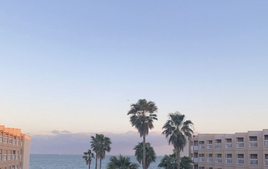 Photo of Others in North Beach