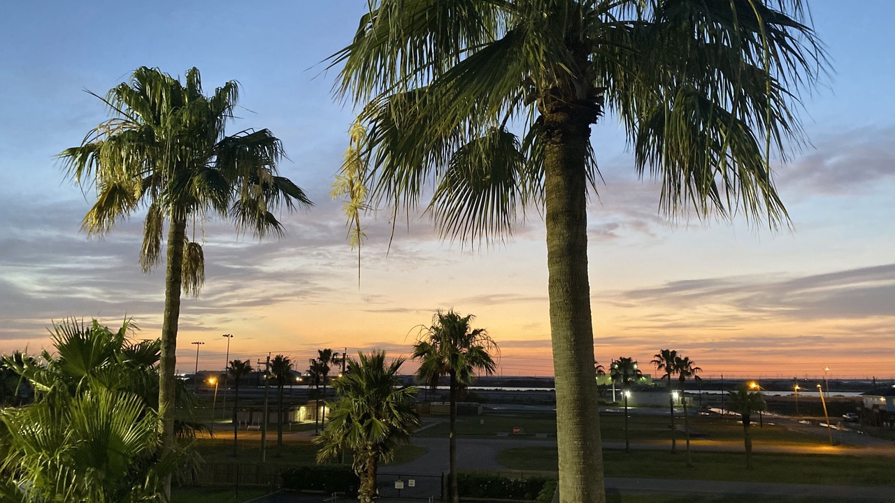 Photo of Others in North Beach