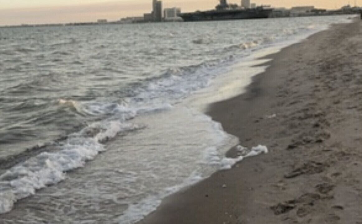 Photo of Others in North Beach