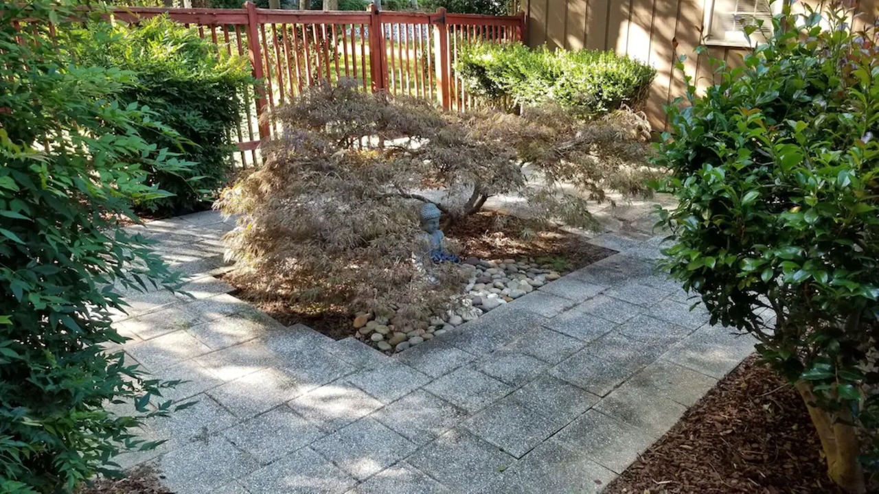 Photo of Outdoor in Terrell