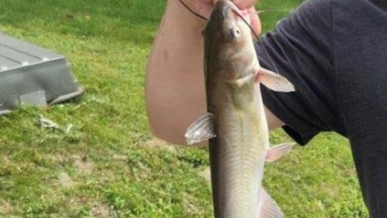 Photo of Others in Warsaw