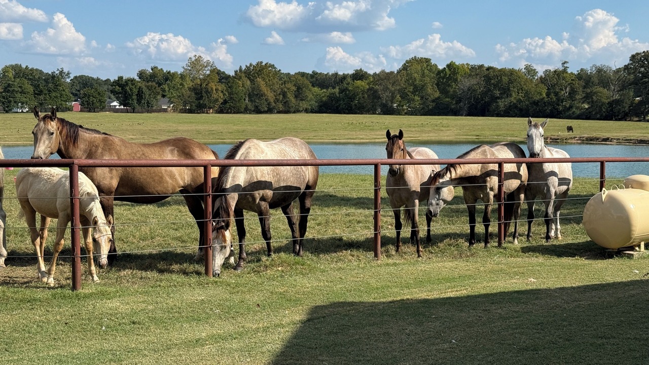 Photo of Others in Larue