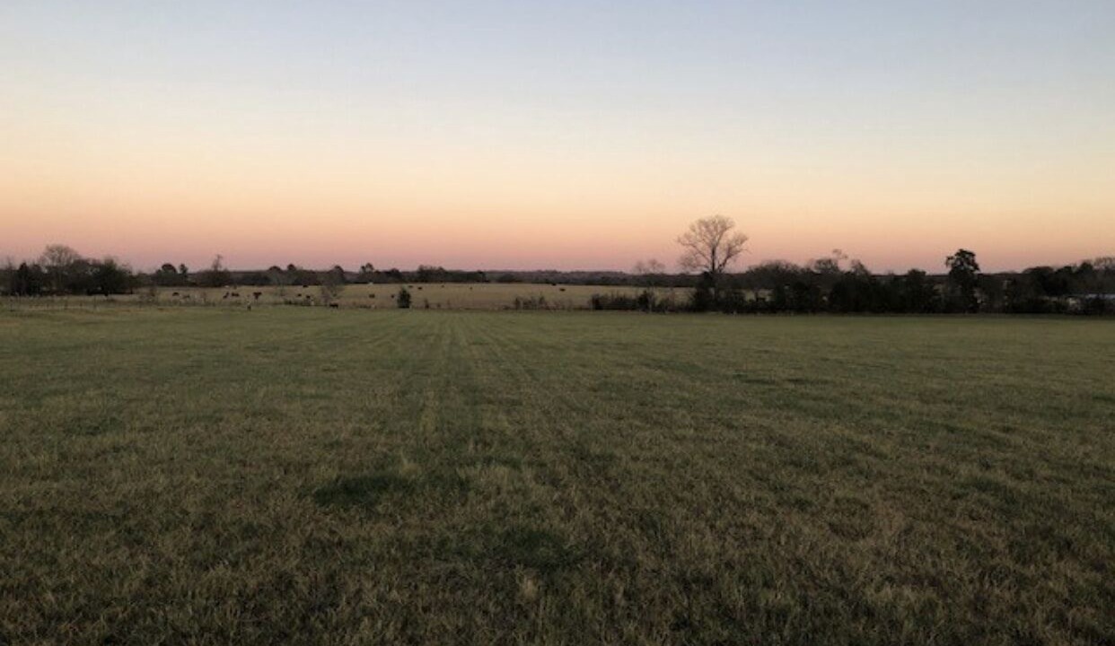 Photo of Outdoor in Larue
