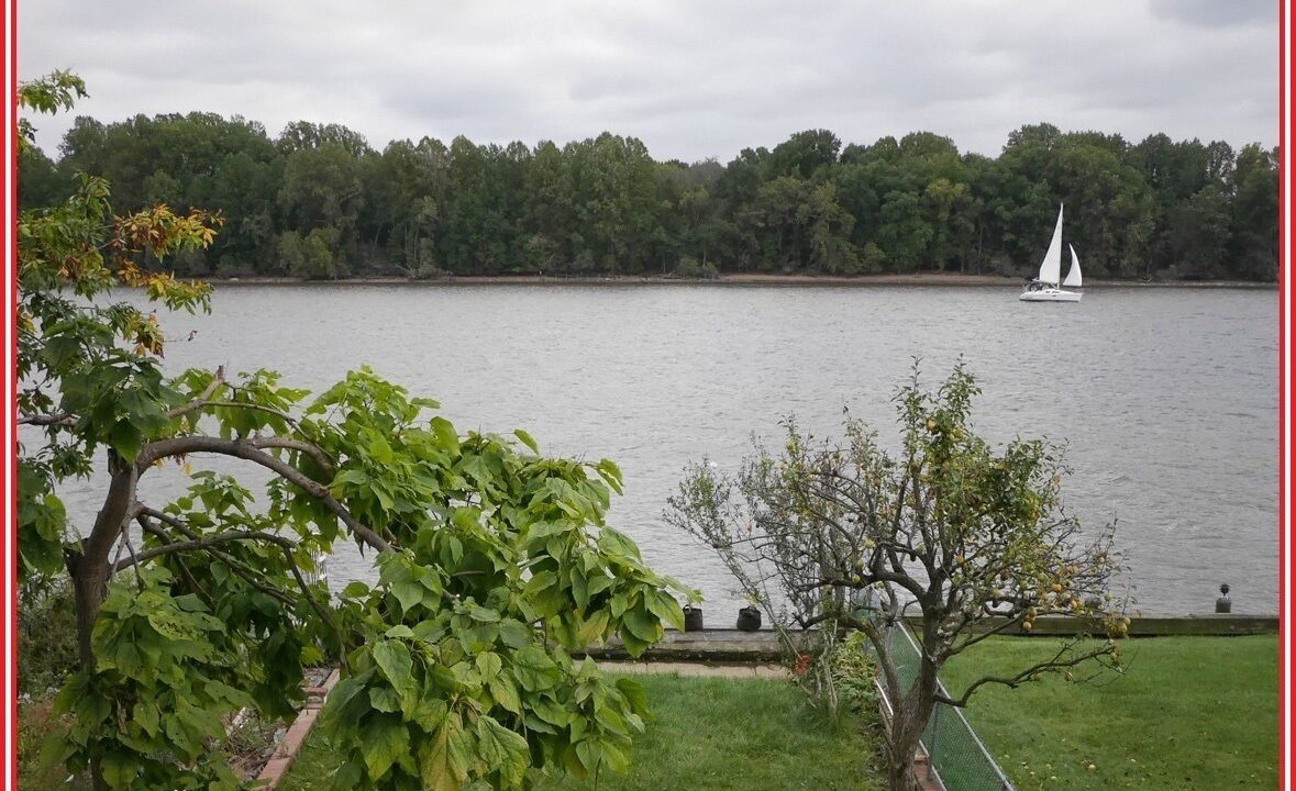 Photo of Others in Bristol