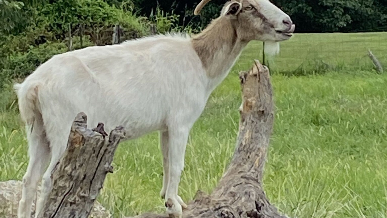 Photo of Outdoor in Wooldridge