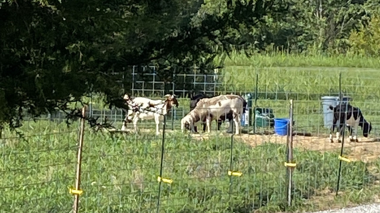 Photo of Outdoor in Wooldridge