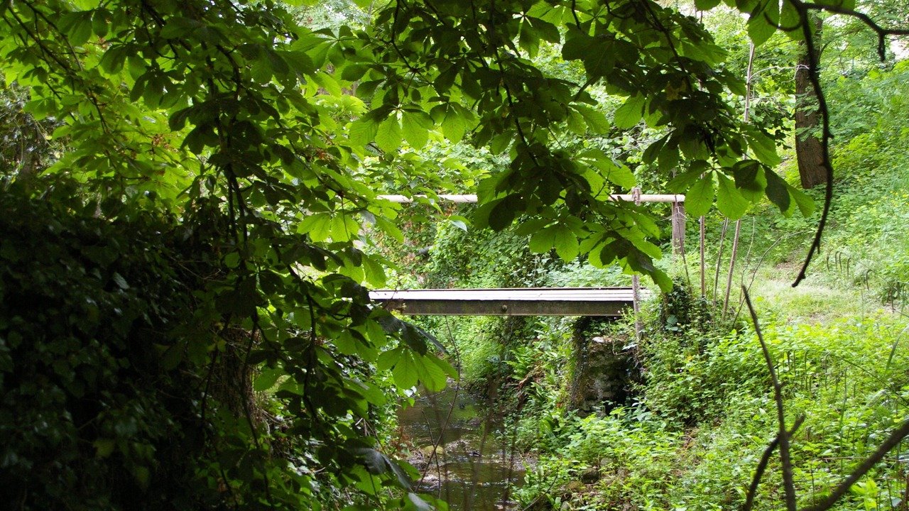 Photo of Outdoor in Leran