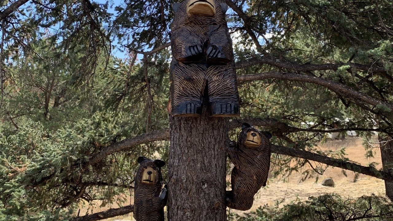 Photo of Others in Alto
