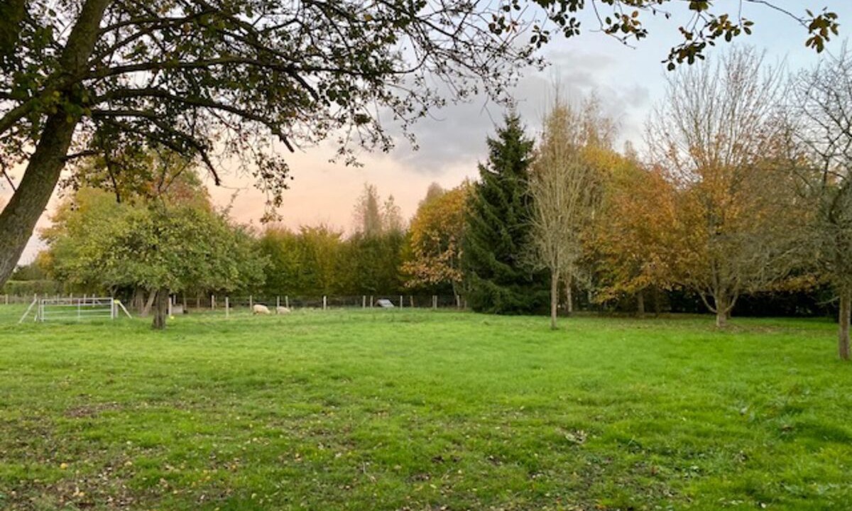 Photo of Others in Saint-Symphorien