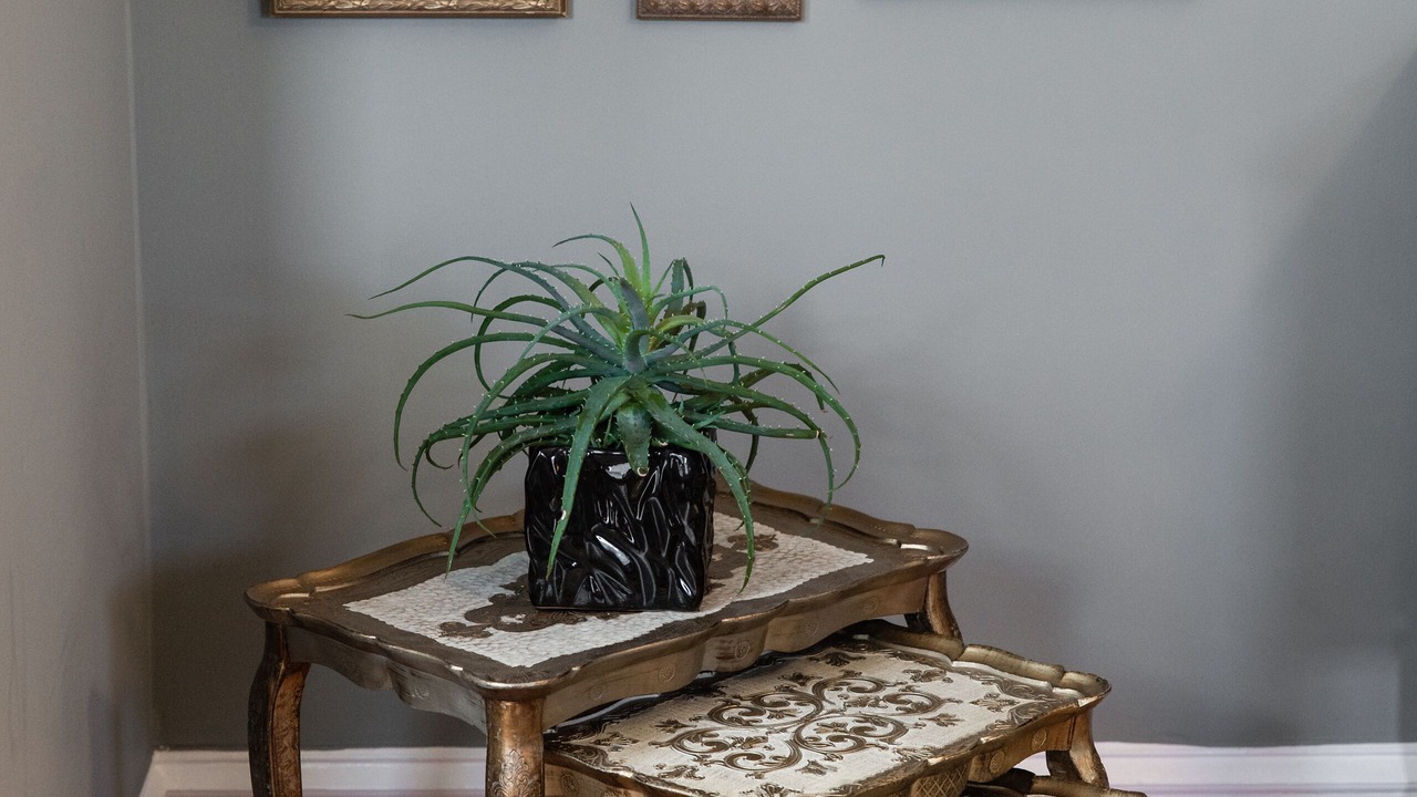 Photo of Others in Forest Grove