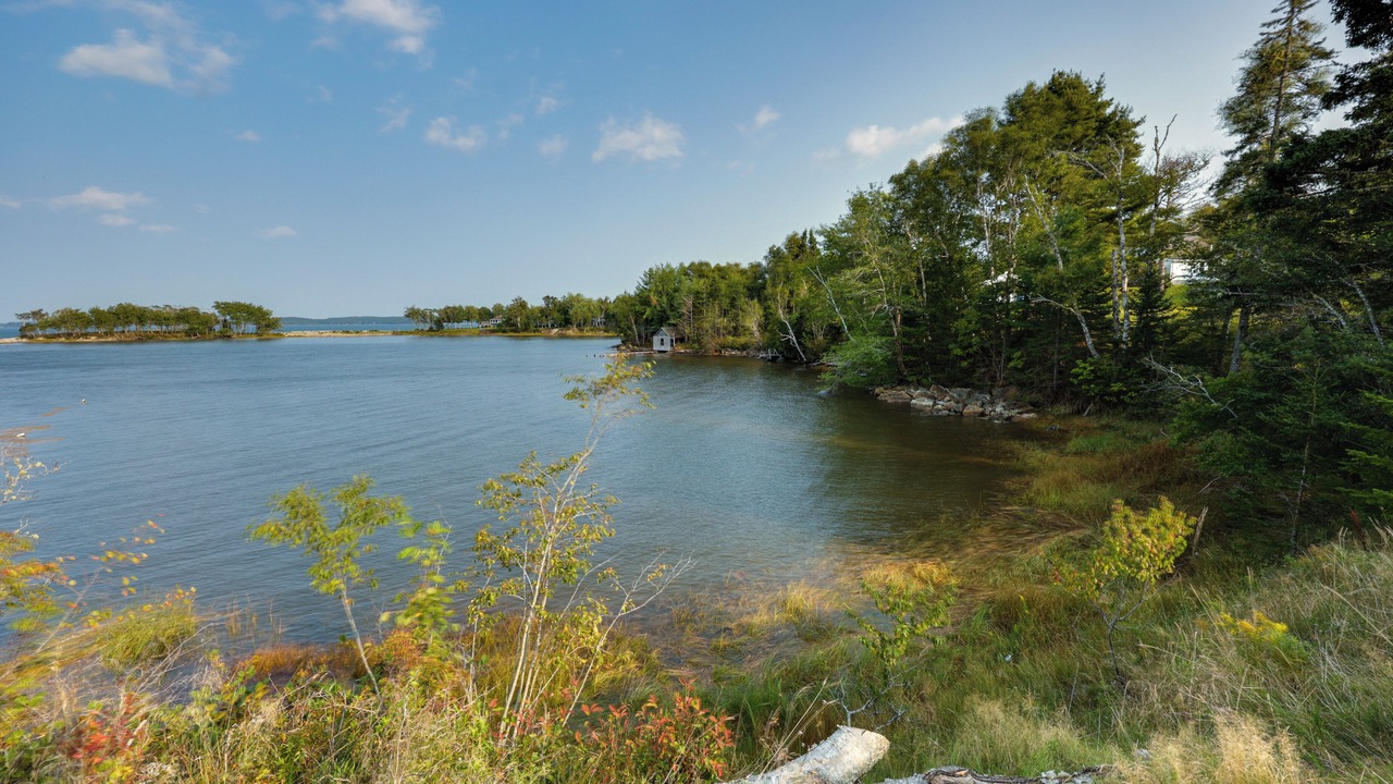 Photo of Others in Milbridge