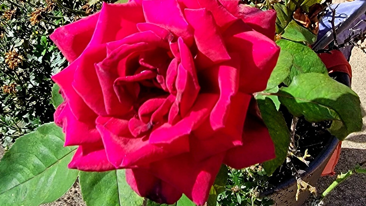 Photo of Outdoor in Carlisle