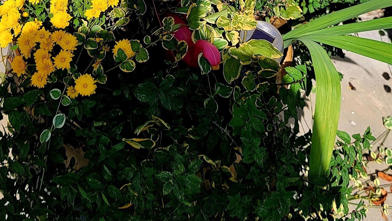 Photo of Outdoor in Carlisle