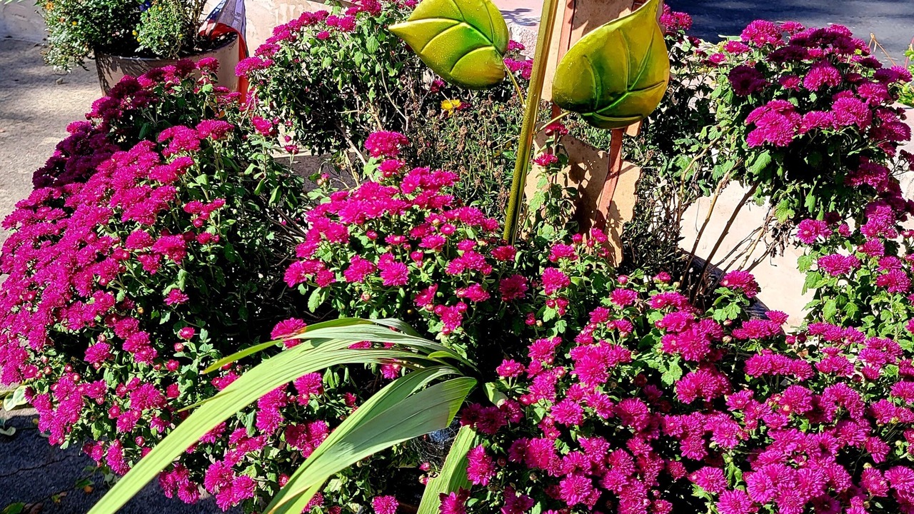 Photo of Outdoor in Carlisle