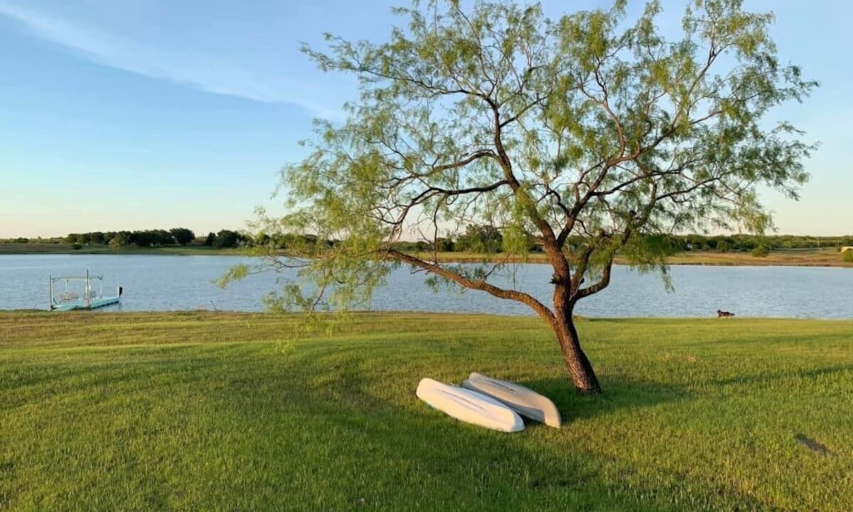 Photo of Others in Midlothian