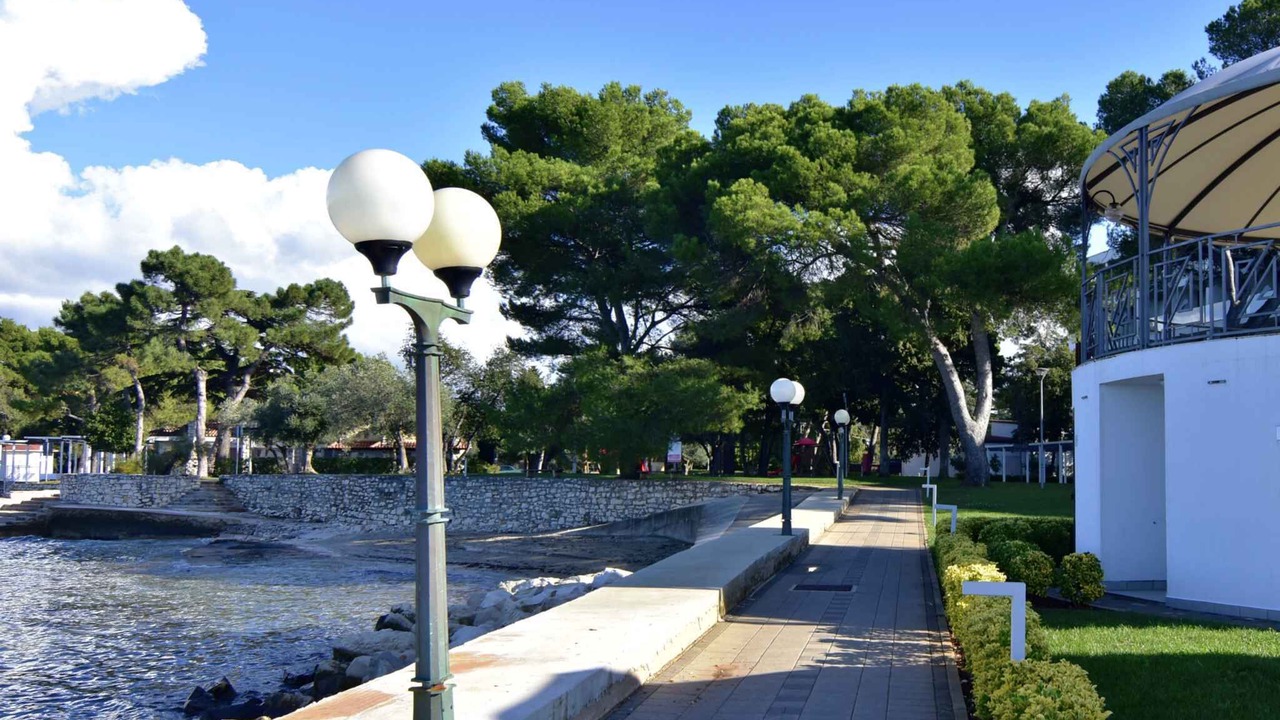 Photo of Outdoor in Murine