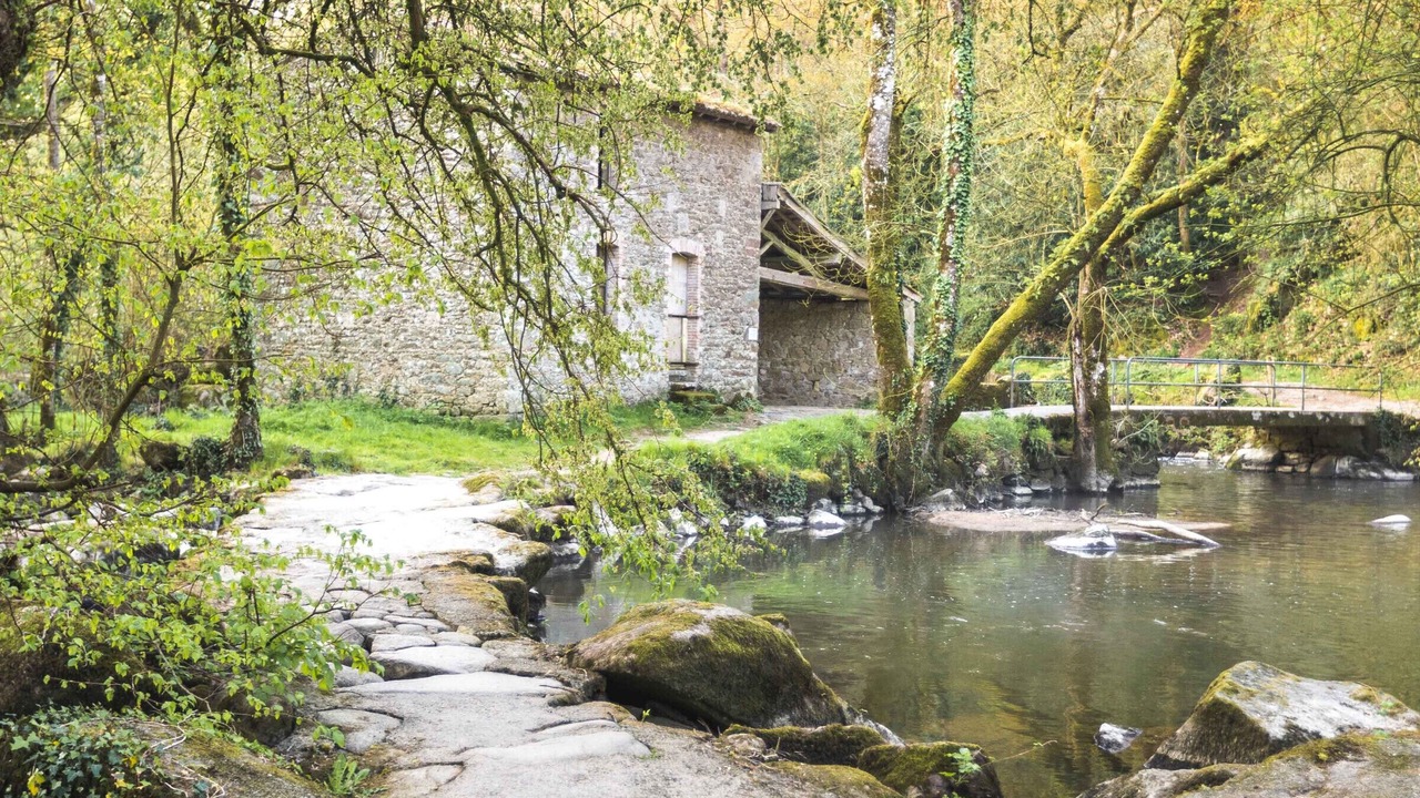 Photo of Outdoor in Mortagne-sur-Sevre